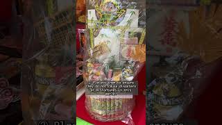 The Hungry Ghost Festival: A Japanese manga artist introducing Singapore’s daily life and Kampong