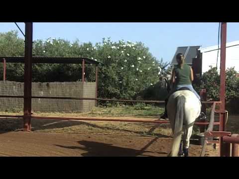 download lagu mp3 mp4 Centre Epona, download lagu Centre Epona gratis, unduh video klip Centre Epona