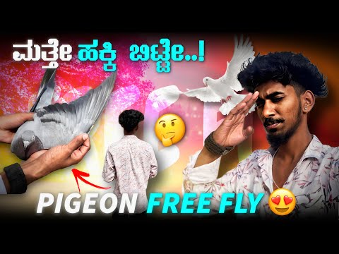 Pigeon free fly in kannada ||Prince loft|| ಇವತ್ತು ಮತ್ತೆ ಹಕ್ಕಿ ಹರೋಕೆ ಬಿಟ್ಟೆ 🥰🤩