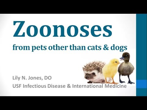 Zoonoses from Exotic Pets -- Lily Jones, DO
