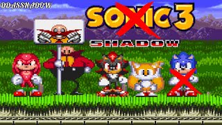 Shadow & Tails in Sonic 3 & Knuckles