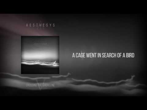 Aesthesys - A Cage Went In Search Of A Bird