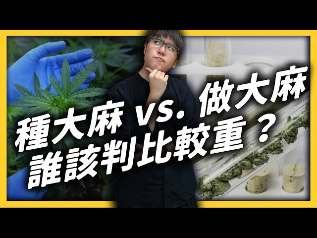 大法官判定 #栽種大麻罪 違憲！是在為合法化鋪路嗎？當初大麻入罪的原因竟跟種族歧視有關？｜志祺七七