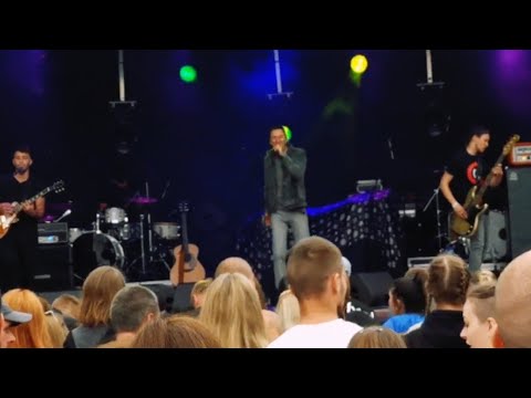 GUTEK Król złoty // Rock na Bagnie 2019