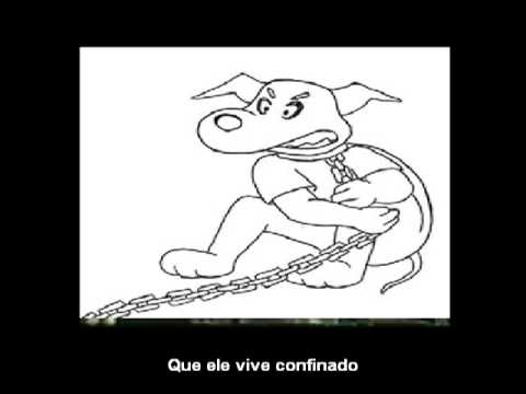 Liberdade para o Jack (Banda Persistentes)