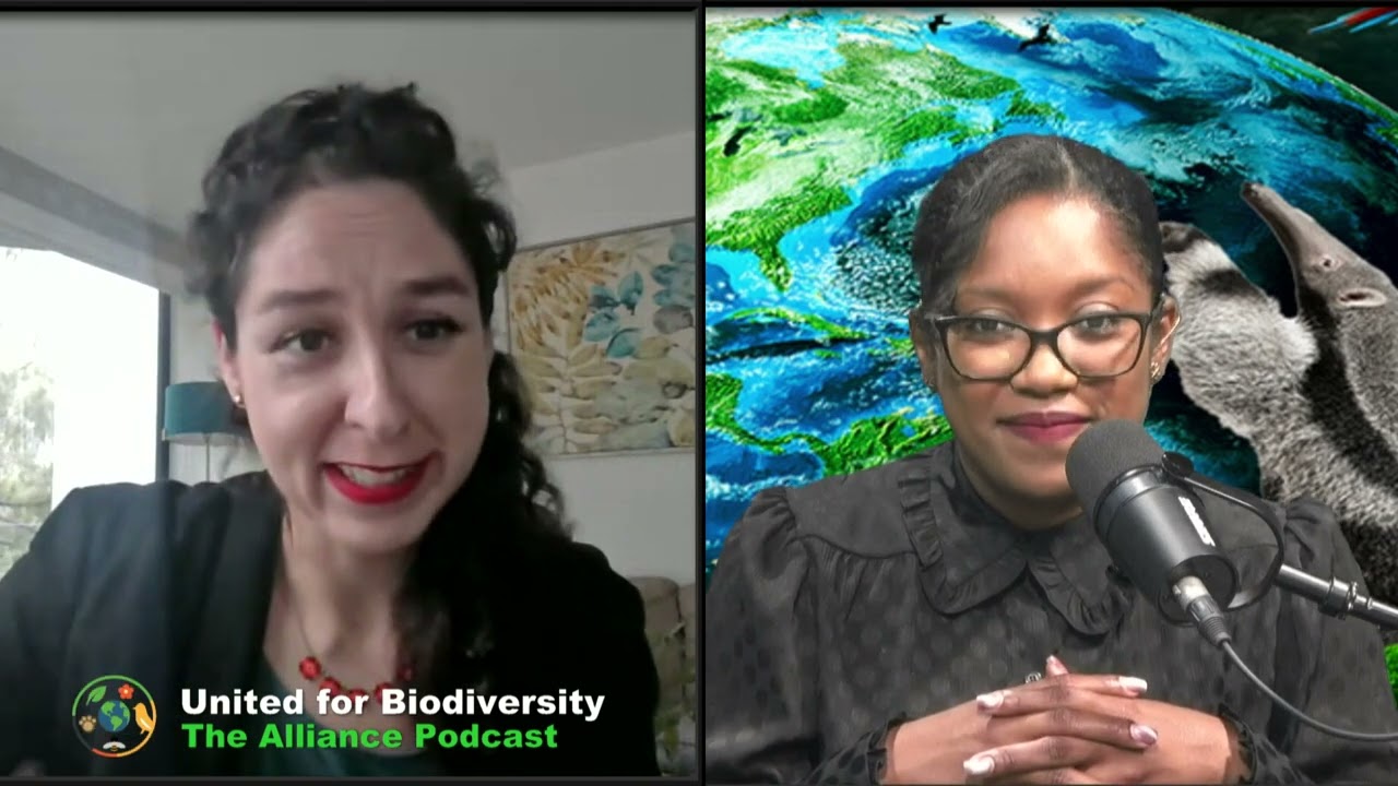 LAC region is now a hotspot for green and blue bonds, debt-for-nature swaps - GGGI expert