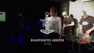 Disappointed Lobster -  Pointless (live)