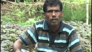 ািাডআপড্পটচ