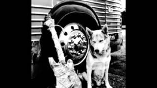 Sour Dogs No Great Shakes