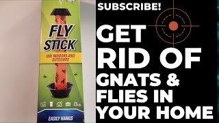 Gnat-Free Zone: The Ultimate Fly Stick Solution #gnat #gnatcontrol #flytrap