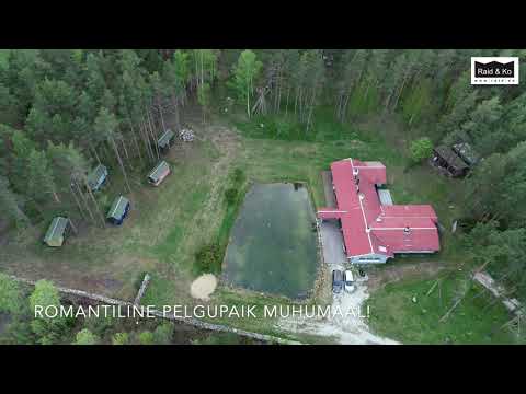 Kinnistu Muhu saarel / Raid & Ko