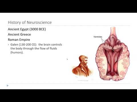 OSSM Neuro Chapter 1 - History of Neuroscience