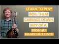 Boil Them Cabbage Down (Key Of A) | Beginner Bluegrass Mandolin Lesson With Tab