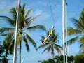Jezz Flying Trapeze Plange Planche Catch