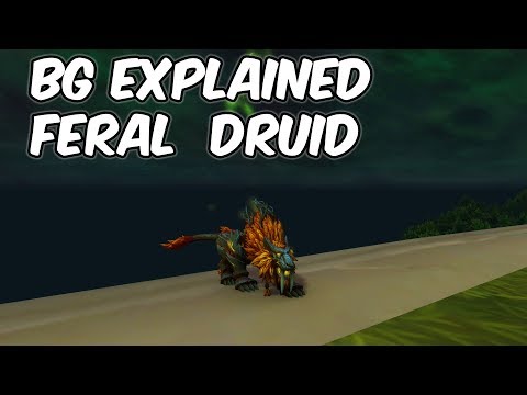 BG Explained - 8.0.1 Feral Druid PvP - WoW BFA