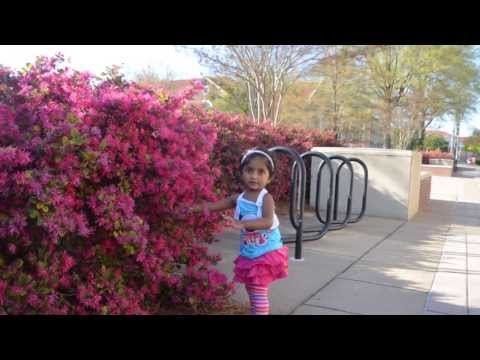 Duwe Sithulini (Original - Duwe Harshani by Milton Mallawarachhci)