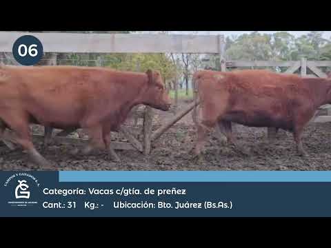 Lote VC CGP - Benito Juarez Bs As