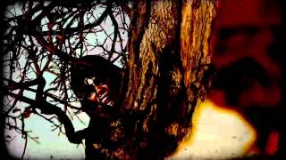 FUCK THE FACTS - Drift (music video)