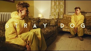 STRAY DOG - film trailer (2013)