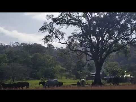 Unguía, Chocó 
