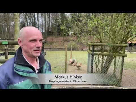 Teil 3: Was ist los im Tierpark Olderdissen?