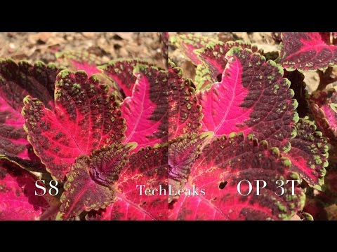GALAXY S8 VS ONEPLUS 3T VIDEO REVIEW