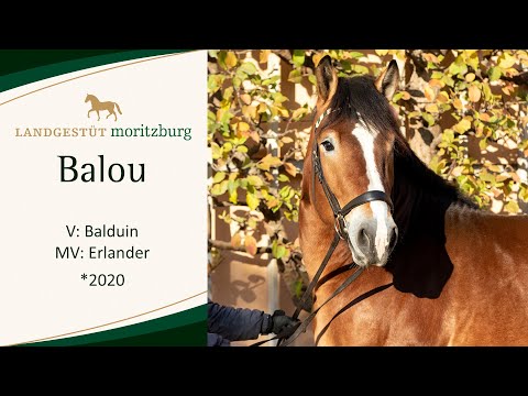 BALOU v. Balduin - Erlander 2023