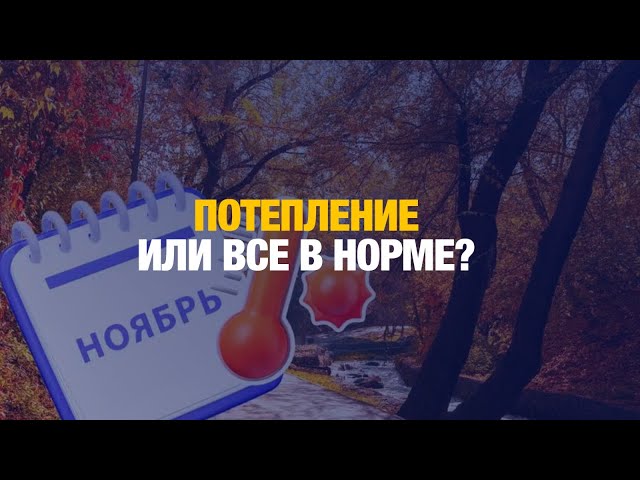 Тёплый ноябрь 2024 года