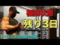 【カウントダウン】大会まで残り3日!カーボディプリート3日目。大会前の最終調整!!〜日本一マッチョな会社員を目指への道のり〜