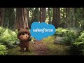 Salesforce Online Spot