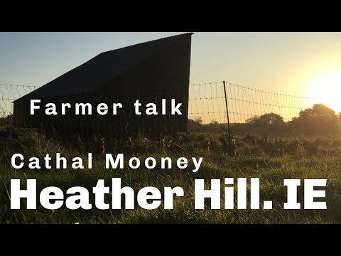 Epic Egg Mobile and Poultry Processing construction