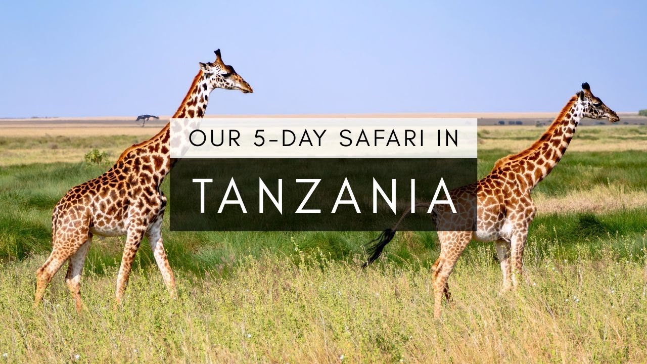 Our 5-day Tanzania safari – Serengeti, Ngorongoro & more