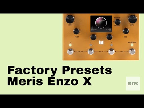 Meris Enzo X image 6