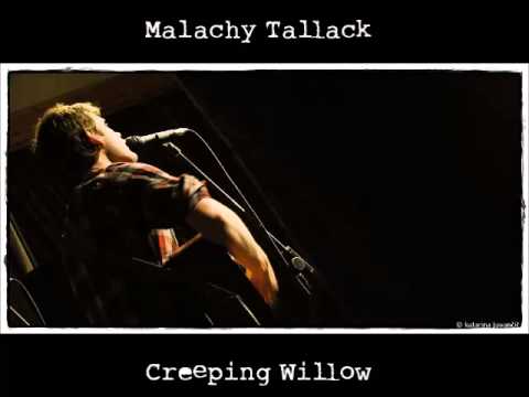 Malachy Tallack: Creeping Willow