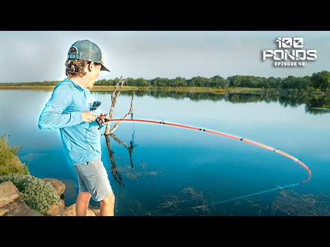 Fishing The BEST Pond I've Ever Seen?? (100 Ponds Ep. 48)