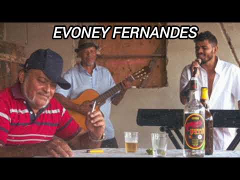 Evoney Fernandes - Juro que não vou mais chorar (#evoneyfernandes #seuosmar)