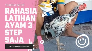 Download lagu Rahasia Pelatihan Ayam Tehnik Lock Brakot dan Apa Saja Ayam Tehnik. 3 latihan, Leher, kaki dan sayap mp3 Download lagu Rahasia Pelatihan Ayam Tehnik Lock Brakot dan Apa Saja Ayam Tehnik. 3 latihan, Leher, kaki dan sayap mp3