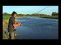 Ловля рыбы на реке 