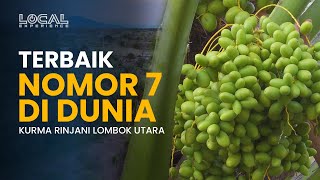 Dari Kaki Rinjani ke Timur Tengah, Kurma Rinjani Lombok Utara Masuk 10 Besar Kurma Terbaik Dunia