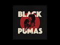 Black%20Pumas%20-%20Touch%20The%20Sky