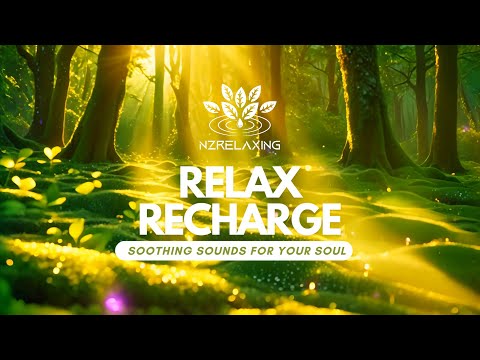 Relax & Recharge 🍃Music Relaxation With Calm, Soothing, Healing, Piano, Meditation🍃NzRelaxing