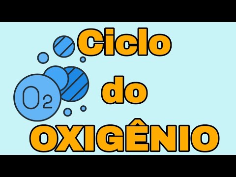 Ciclo do OXIGÊNIO- Ciclos Biogeoquímicos| Qual o ciclo do oxigênio?