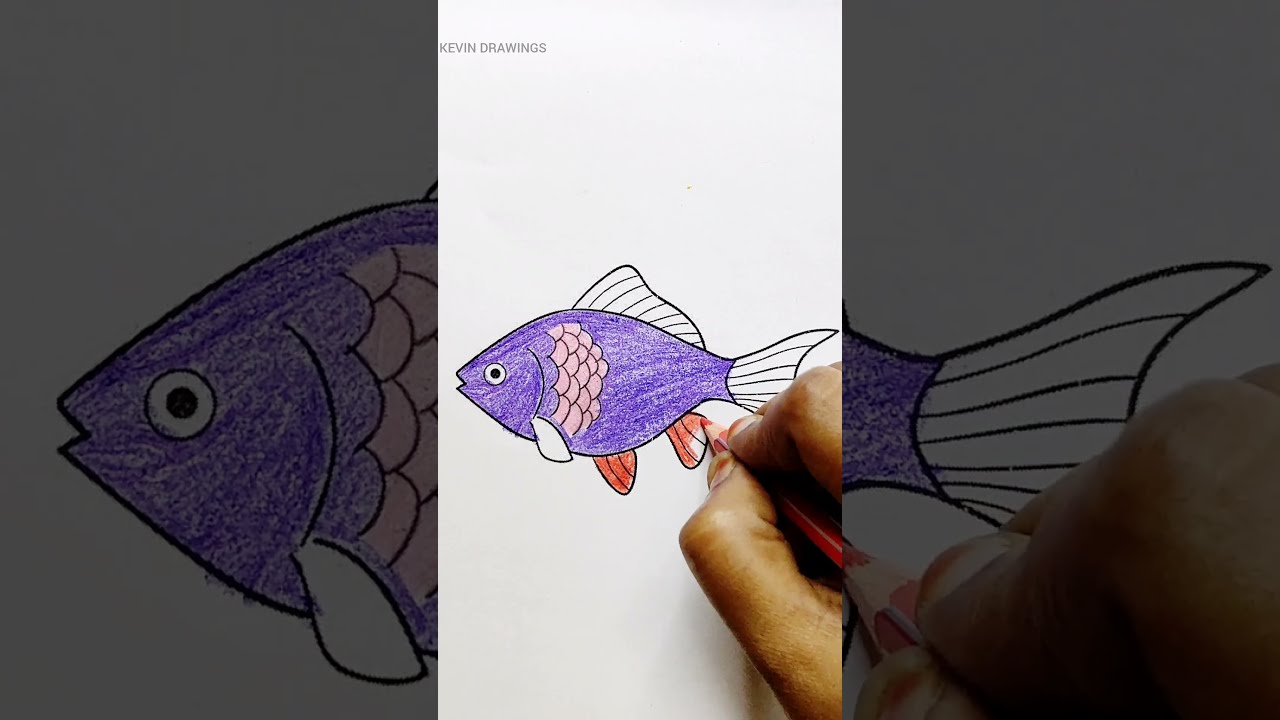 How to draw a fish – fish drawing - color drawing - coloring pages painting #drawing #art