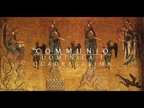 Dominica I Quadragesima: Communio - Scapulis suis