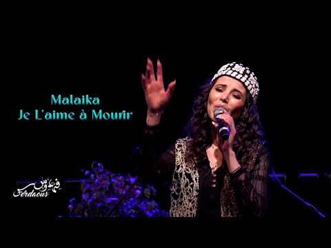 Ferdaous Malaika ft Je l'aime à mourir MASHUP( Beats Of the World Tour)