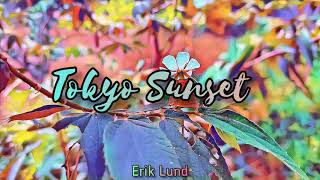 Download lagu Erik Lund - Tokyo Sunset [Copyright-Free Music] mp3
