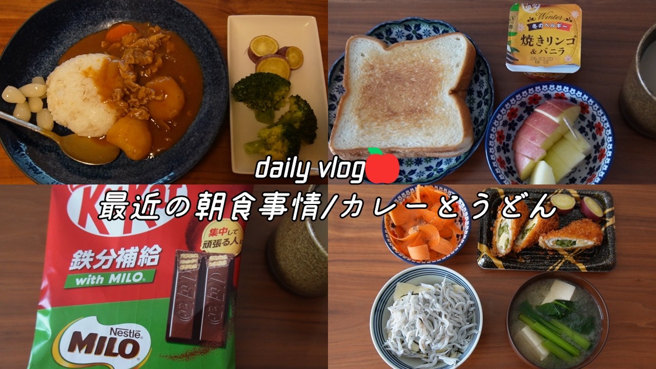 【vlog】自炊ルーティン｜最近の朝食事情｜在宅ワーク｜日々の料理【一人暮らし】
