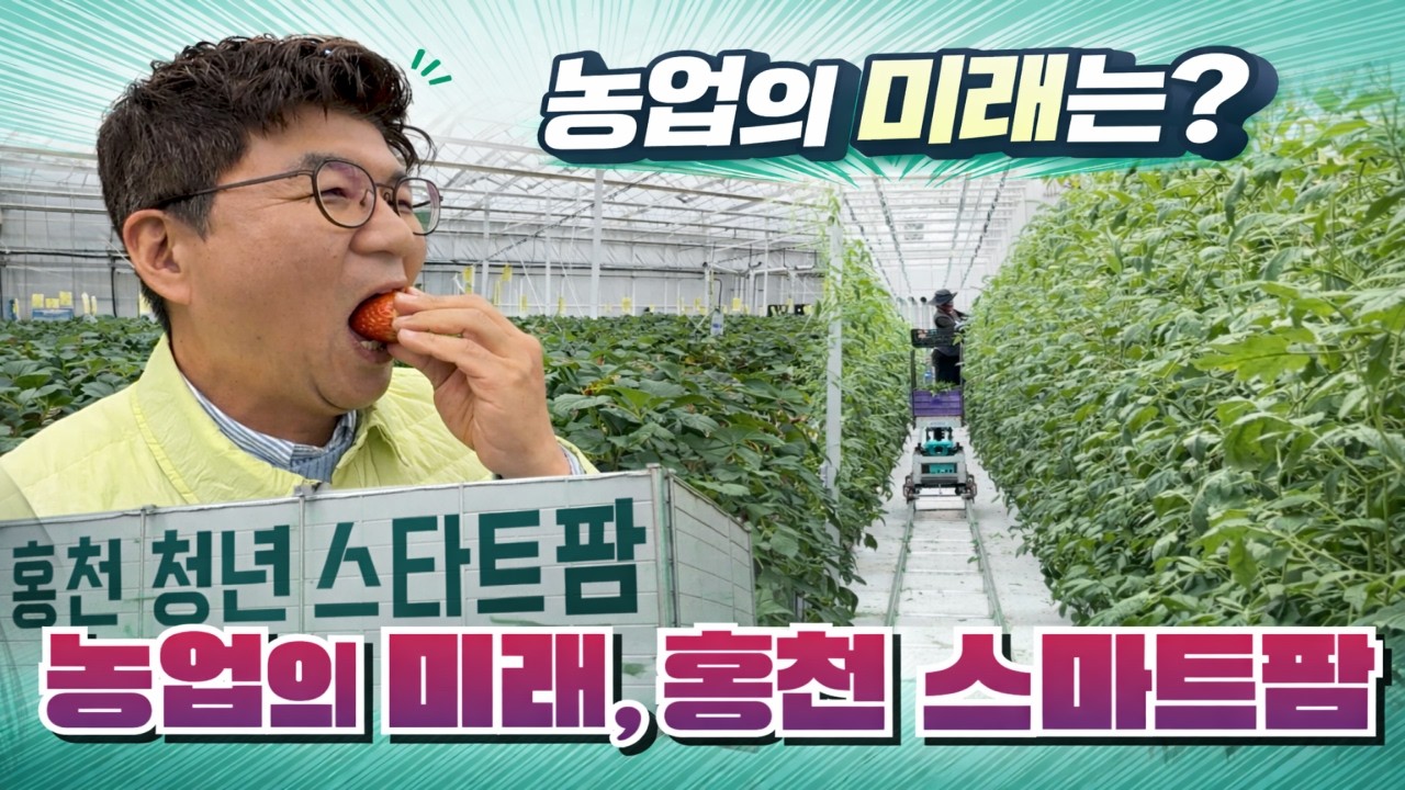 [강원365] 농업의 미래, 홍천 스마트팜