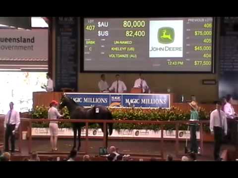 2012 Gold Coast Yearling Sale Lots 401 - 420