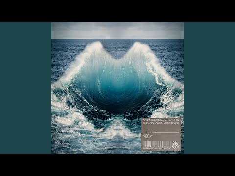 Silence (John Summit Remix)